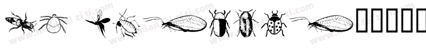 WM Insects字体转换